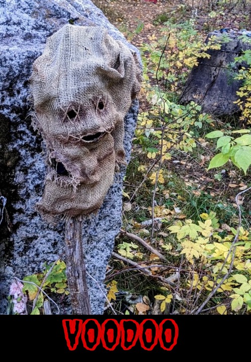 Voodoo | VOODOO | image tagged in cursed images,voodoo doll,occult,what a terrible day to have eyes,so you have chosen death,oh hell no | made w/ Imgflip meme maker