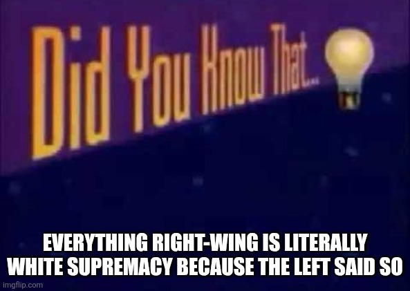 "It'S wHitE sUpReMacY bEcAuSe wE sAiD sO!!!" | EVERYTHING RIGHT-WING IS LITERALLY WHITE SUPREMACY BECAUSE THE LEFT SAID SO | image tagged in did you know that | made w/ Imgflip meme maker