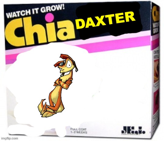 rejected chia pets volume 14 | DAXTER | image tagged in chia pet blank,jak and daxter | made w/ Imgflip meme maker