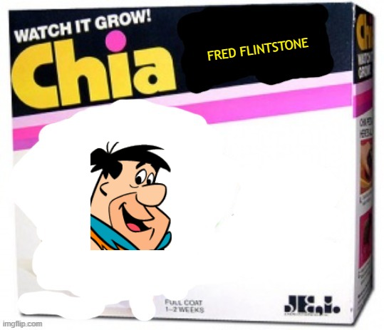 rejected chia pets volume 16 | FRED FLINTSTONE | image tagged in chia pet blank,the flintstones | made w/ Imgflip meme maker