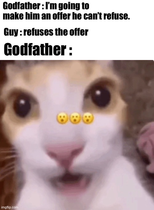 Godfather moment | Godfather : I’m going to make him an offer he can’t refuse. Godfather :; Guy : refuses the offer | image tagged in godfather | made w/ Imgflip meme maker