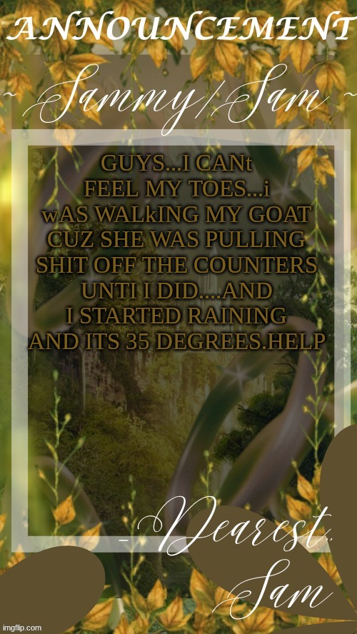 sams LOTR temp (thx v) | GUYS...I CANt FEEL MY TOES...i wAS WALkING MY GOAT CUZ SHE WAS PULLING SHIT OFF THE COUNTERS UNTI I DID....AND I STARTED RAINING AND ITS 35 DEGREES.HELP | image tagged in sams lotr temp thx v | made w/ Imgflip meme maker