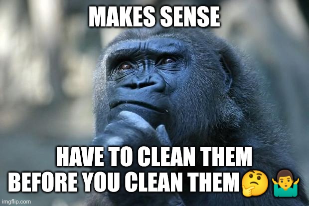 MAKES SENSE HAVE TO CLEAN THEM BEFORE YOU CLEAN THEM??‍♂️ | image tagged in deep thoughts | made w/ Imgflip meme maker
