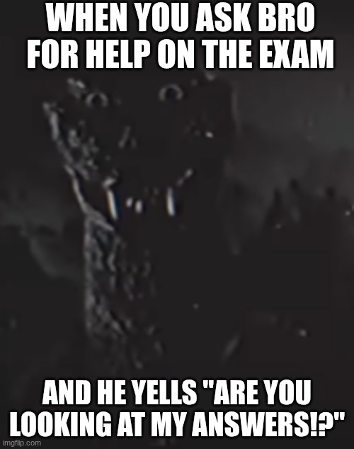 godzilla staring | WHEN YOU ASK BRO FOR HELP ON THE EXAM; AND HE YELLS "ARE YOU LOOKING AT MY ANSWERS!?" | image tagged in godzilla staring | made w/ Imgflip meme maker