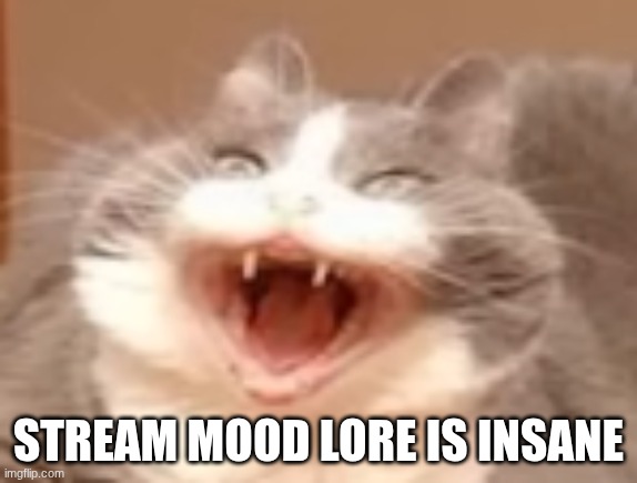 cat | STREAM MOOD LORE IS INSANE | image tagged in cat | made w/ Imgflip meme maker