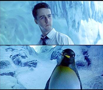 fight club penguin Blank Meme Template