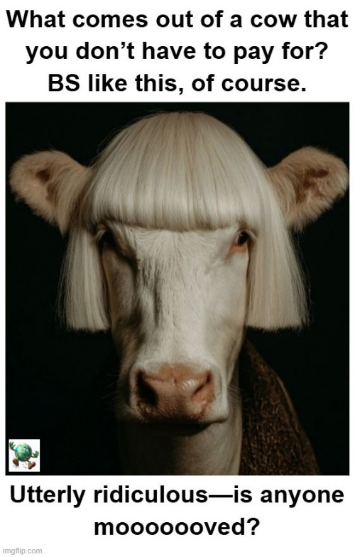 What do you think of Patty Murray saying that tax breaks for billionaires hurt working families? | image tagged in maga,conservative,taxes | made w/ Imgflip meme maker