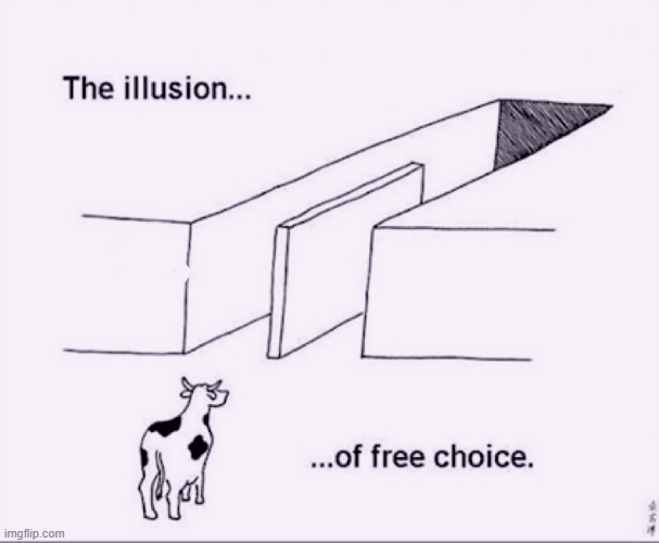 Illusion of free choice | image tagged in illusion of free choice | made w/ Imgflip meme maker