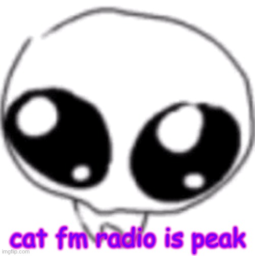 puppy eyes | cat fm radio is peak | image tagged in puppy eyes | made w/ Imgflip meme maker