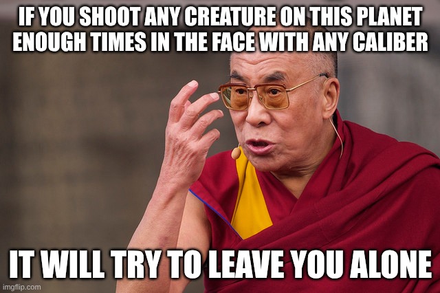 any caliber in the face | IF YOU SHOOT ANY CREATURE ON THIS PLANET ENOUGH TIMES IN THE FACE WITH ANY CALIBER; IT WILL TRY TO LEAVE YOU ALONE | image tagged in angry dalai lama,shoot | made w/ Imgflip meme maker