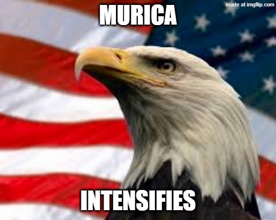 Murica Patriotic Eagle | MURICA INTENSIFIES | image tagged in murica patriotic eagle | made w/ Imgflip meme maker