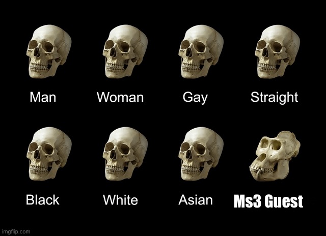 Ms3 guest be like | Ms3 Guest | image tagged in skull comparison | made w/ Imgflip meme maker