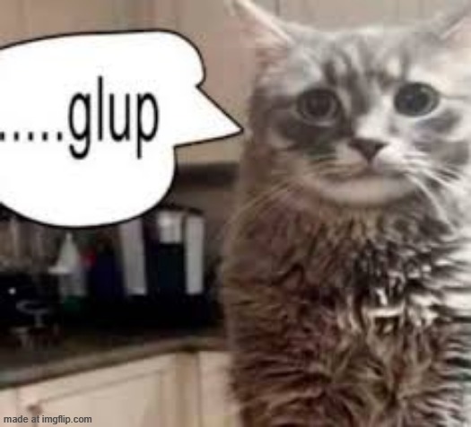 me watching someone get drawn and quartered for an opinion i lowkey agree with | image tagged in gulp cat | made w/ Imgflip meme maker