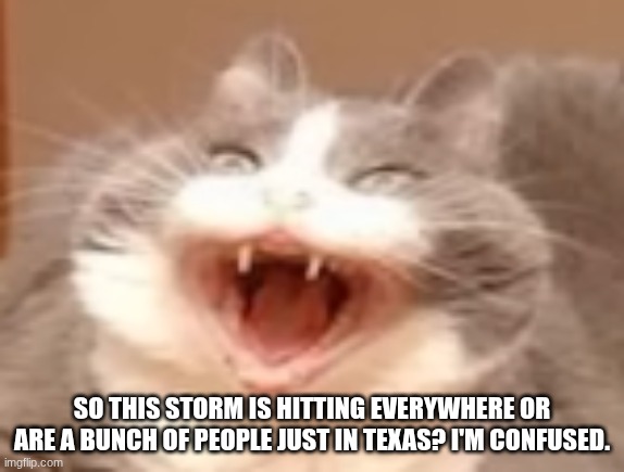 cat | SO THIS STORM IS HITTING EVERYWHERE OR ARE A BUNCH OF PEOPLE JUST IN TEXAS? I'M CONFUSED. | image tagged in cat | made w/ Imgflip meme maker