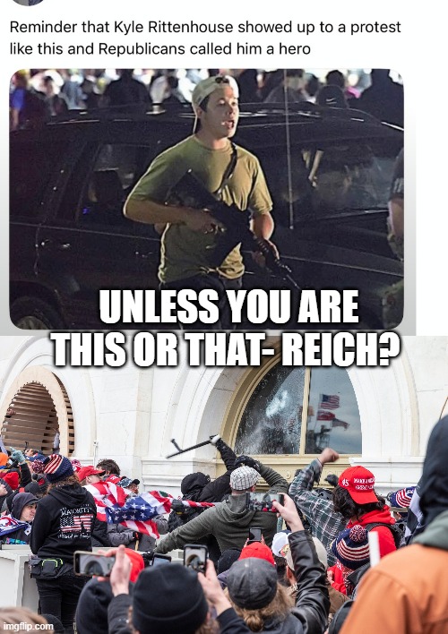 UNLESS YOU ARE THIS OR THAT- REICH? | image tagged in capitol riot | made w/ Imgflip meme maker