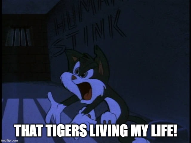 rita when nahal and tala got more merch than her and runt | THAT TIGERS LIVING MY LIFE! | image tagged in memes | made w/ Imgflip meme maker