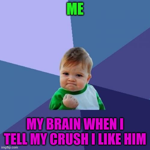 heeheheh | ME; MY BRAIN WHEN I TELL MY CRUSH I LIKE HIM | image tagged in memes,success kid | made w/ Imgflip meme maker