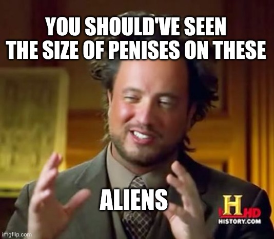You wouldn't believe | YOU SHOULD'VE SEEN THE SIZE OF PENISES ON THESE; ALIENS | image tagged in memes,ancient aliens | made w/ Imgflip meme maker