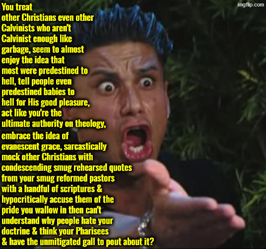 Unmitigated Gall | image tagged in calvinism,calvinist memes,anti calvinism,reformed theology,hypocrites,crybabies | made w/ Imgflip meme maker