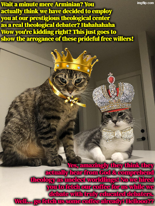 They do come across this way | image tagged in calvinism,calvinist memes,anti calvinism,reformed theology,arrogance,condescending | made w/ Imgflip meme maker