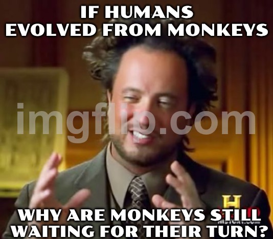 IF HUMANS EVOLVED FROM MONKEYS; THEN WHY DO BANANAS STILL EXIST? | IF HUMANS EVOLVED FROM MONKEYS; WHY ARE MONKEYS STILL WAITING FOR THEIR TURN? | image tagged in memes,ancient aliens,evolution,anti-religion,bananas,human evolution | made w/ Imgflip meme maker