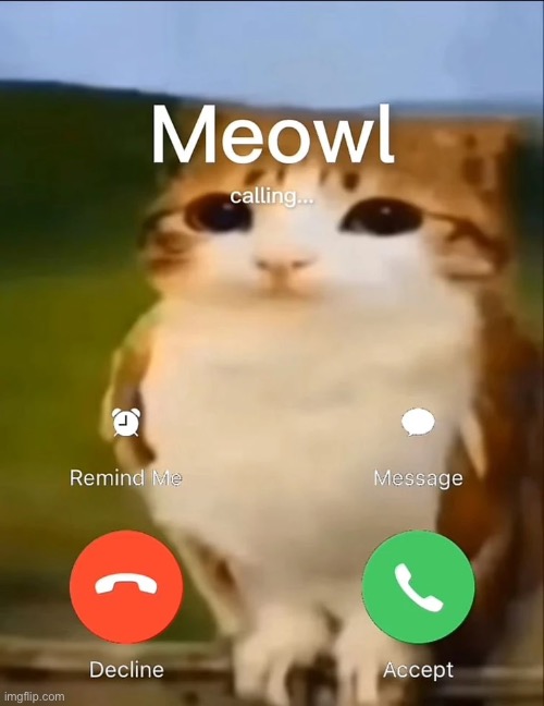 gn youse guys | made w/ Imgflip meme maker