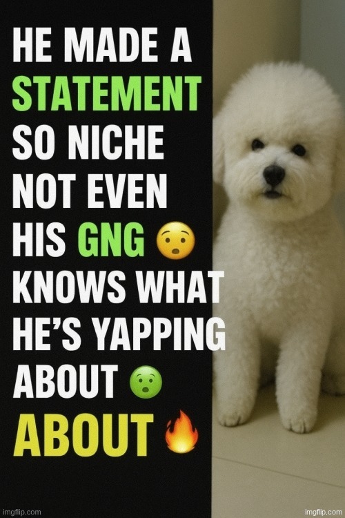 he made a statement so niche | image tagged in he made a statement so niche | made w/ Imgflip meme maker