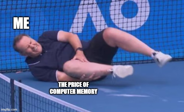 Tennis Hurt Knee | ME; THE PRICE OF COMPUTER MEMORY | image tagged in memes,tennis hurt knee,computers,pc gaming,video games,ai | made w/ Imgflip meme maker