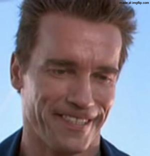 Terminator Smile | image tagged in terminator smile | made w/ Imgflip meme maker