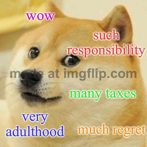 wow; such responsibility; many taxes; very adulthood; much regret | wow; such responsibility; many taxes; very adulthood; much regret | image tagged in memes,doge,response,taxes,adulthood,regret | made w/ Imgflip meme maker