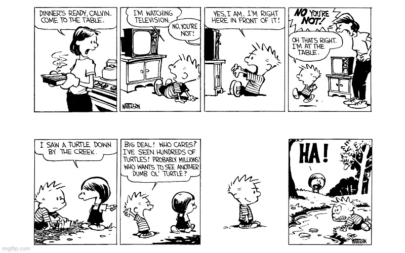 image tagged in calvin and hobbes,comics | made w/ Imgflip meme maker