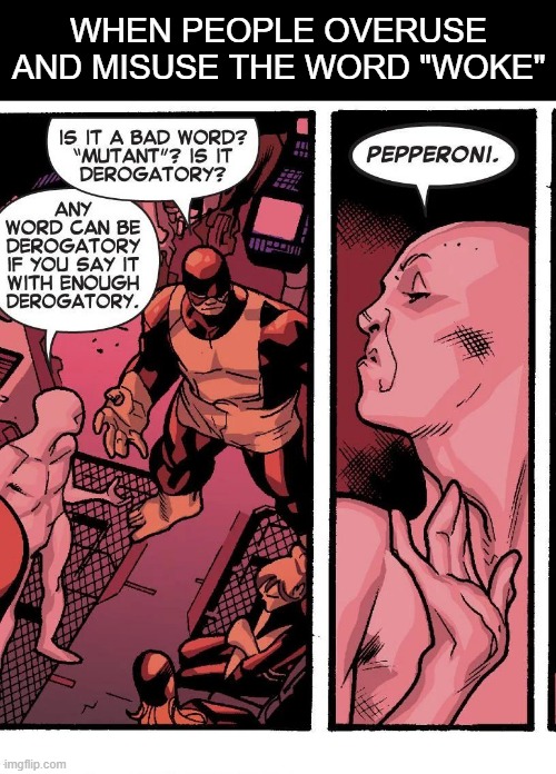 What does "woke" even mean at this point | WHEN PEOPLE OVERUSE AND MISUSE THE WORD "WOKE" | image tagged in woke,politics,political meme,lgbtq | made w/ Imgflip meme maker