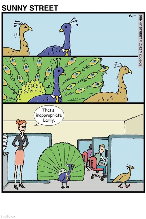 image tagged in comics,sunny street,office,peacock,inappropriate behavior,feathers | made w/ Imgflip meme maker