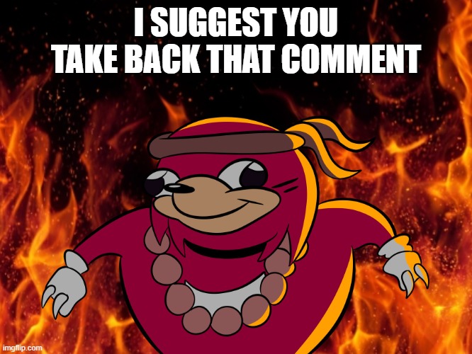 I SUGGEST YOU TAKE BACK THAT COMMENT | image tagged in uganda knuckles | made w/ Imgflip meme maker