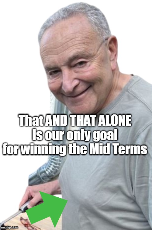 That AND THAT ALONE
Is our only goal for winning the Mid Terms | made w/ Imgflip meme maker