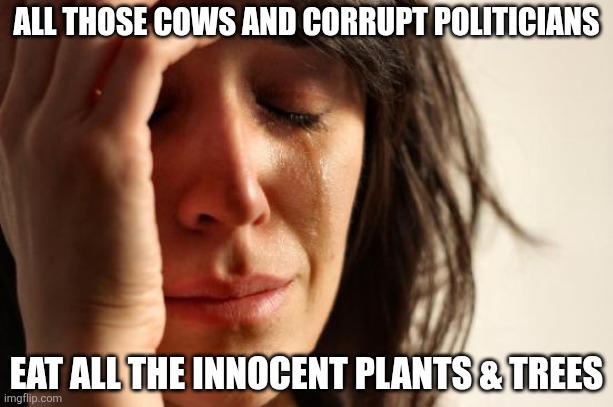 First World Problems Meme | ALL THOSE COWS AND CORRUPT POLITICIANS; EAT ALL THE INNOCENT PLANTS & TREES | image tagged in memes,first world problems | made w/ Imgflip meme maker