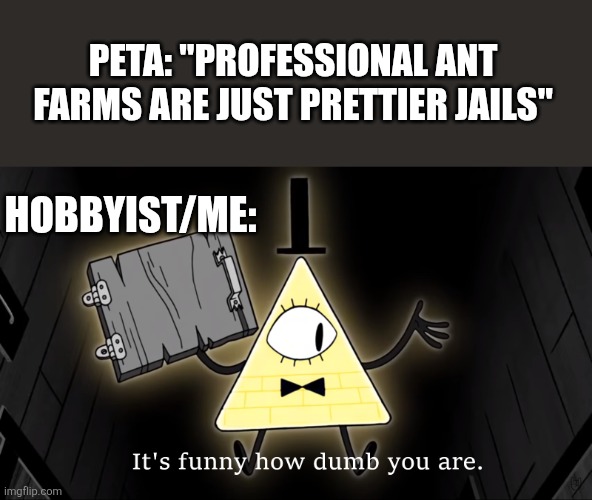 Peta is dumb as peta only knows the bad gel farms | PETA: "PROFESSIONAL ANT FARMS ARE JUST PRETTIER JAILS"; HOBBYIST/ME: | image tagged in it's funny how dumb you are bill cipher | made w/ Imgflip meme maker