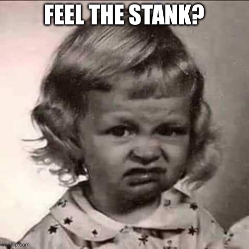 Stank face | FEEL THE STANK? | image tagged in stank face,stank,roast,kid,bill nye the science guy | made w/ Imgflip meme maker