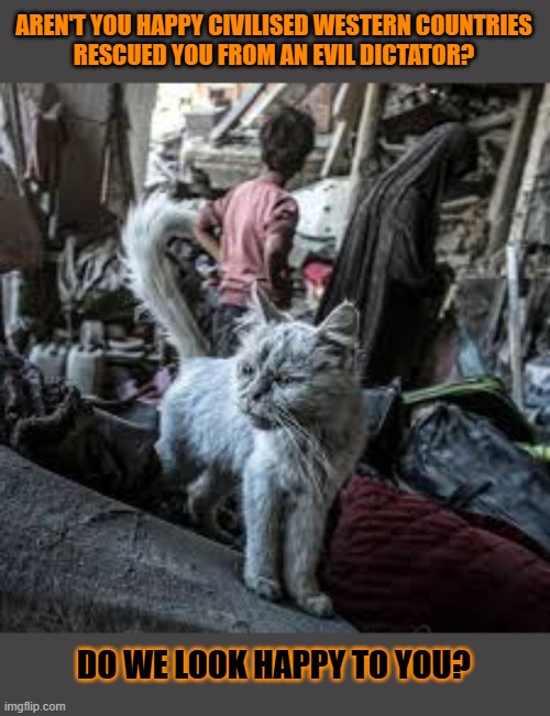 This #lolcat wonders if you'd like to be rescued | AREN'T YOU HAPPY CIVILISED WESTERN COUNTRIES
RESCUED YOU FROM AN EVIL DICTATOR? DO WE LOOK HAPPY TO YOU? | image tagged in lolcat,iraq war,civilization,oil | made w/ Imgflip meme maker