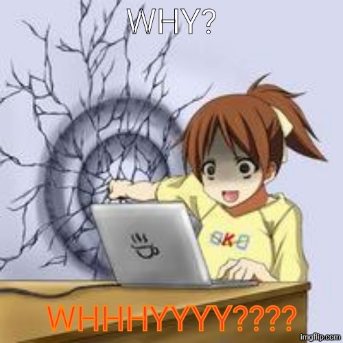 Anime wall punch | WHY? WHHHYYYY???? | image tagged in anime wall punch | made w/ Imgflip meme maker