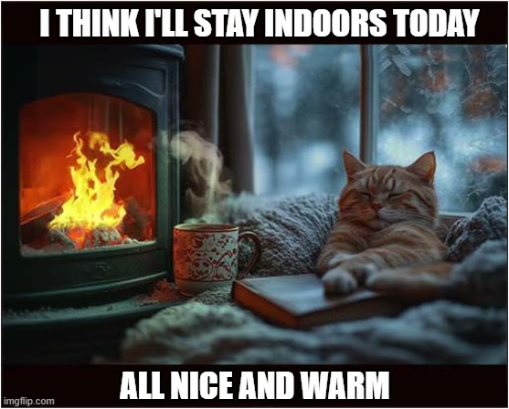 When It's Unexpectedly Cold Outside ... | I THINK I'LL STAY INDOORS TODAY; ALL NICE AND WARM | image tagged in cats,snowstorm,indoors,fire | made w/ Imgflip meme maker