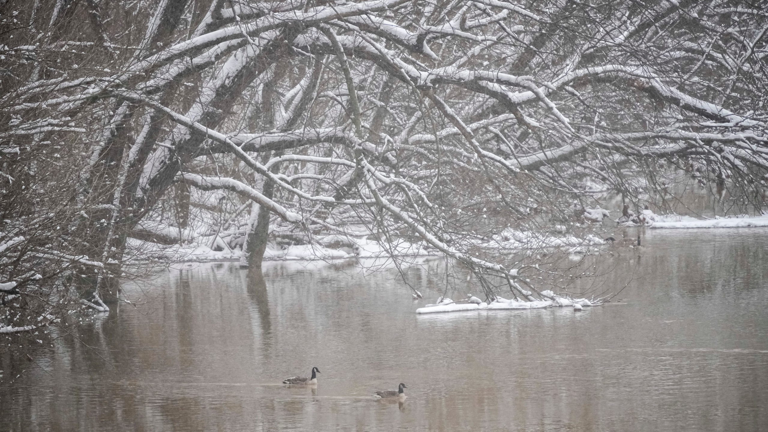 Icy River Blank Meme Template
