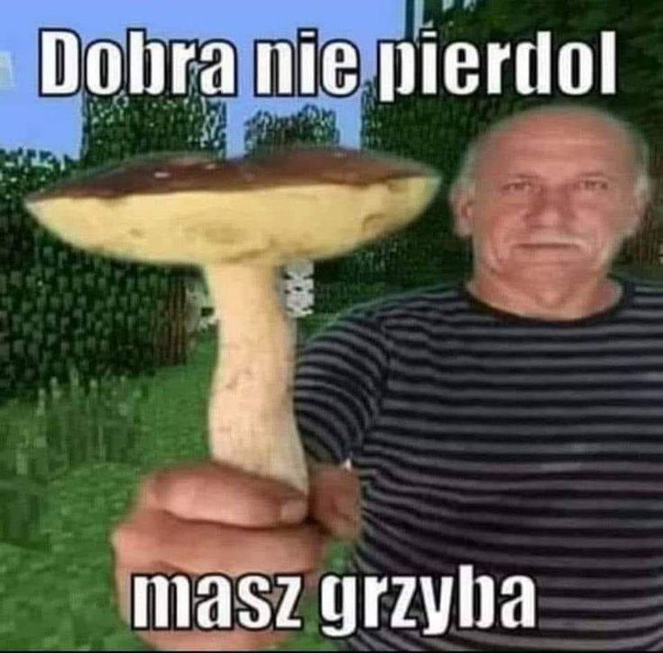 Dobra nie pierdol masz grzyba Blank Meme Template
