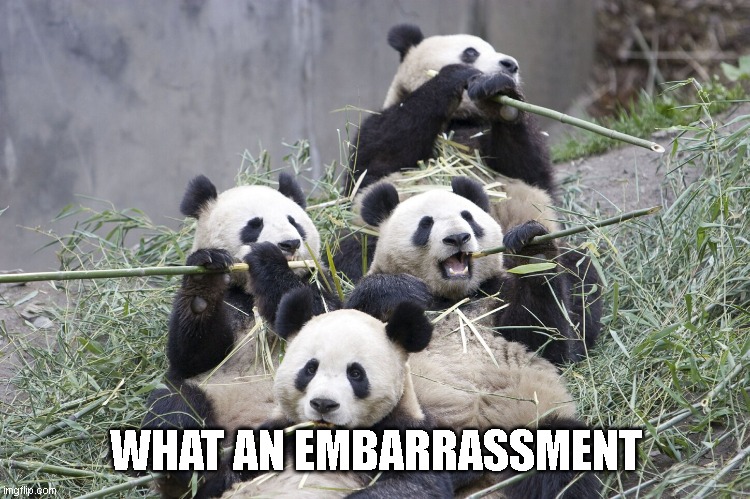 Blame English, not me (pt2) | WHAT AN EMBARRASSMENT | image tagged in panda | made w/ Imgflip meme maker