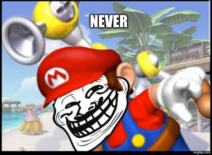 NEVER | made w/ Imgflip meme maker