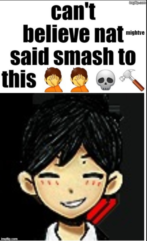 i made this i get to reopost it | image tagged in cant believe nat said smash to this | made w/ Imgflip meme maker