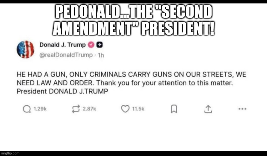 The second amendment president! | PEDONALD...THE "SECOND AMENDMENT" PRESIDENT! | image tagged in trump,donald trump,maga,nevertrump,second amendment,ice | made w/ Imgflip meme maker