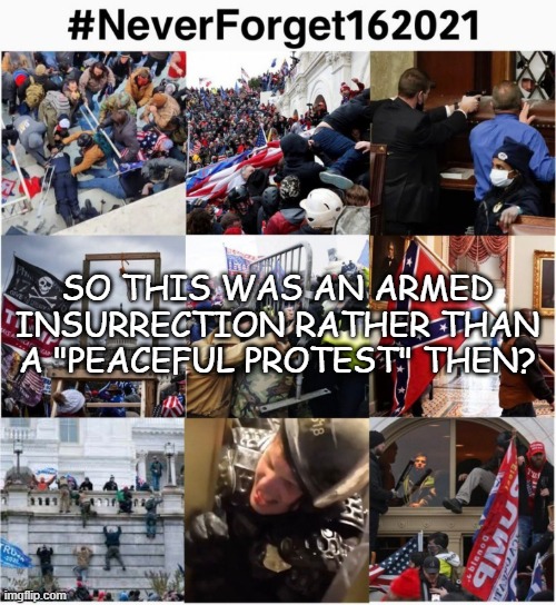 Never Forget 1/6/2021 | SO THIS WAS AN ARMED INSURRECTION RATHER THAN A "PEACEFUL PROTEST" THEN? | image tagged in never forget 1/6/2021 | made w/ Imgflip meme maker