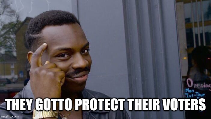 Roll Safe Think About It Meme | THEY GOTTO PROTECT THEIR VOTERS | image tagged in memes,roll safe think about it | made w/ Imgflip meme maker