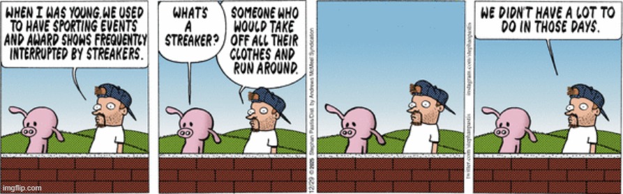 Pearls Before Swine | image tagged in comics | made w/ Imgflip meme maker